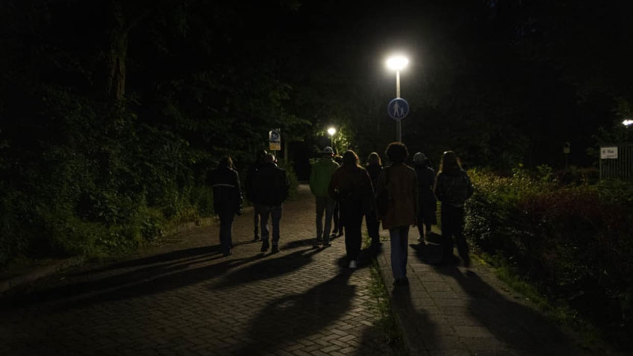 Zoeken naar glimwormen in het Vliegenbos: ‘Het geeft hoop dat nog niet alles verloren is’